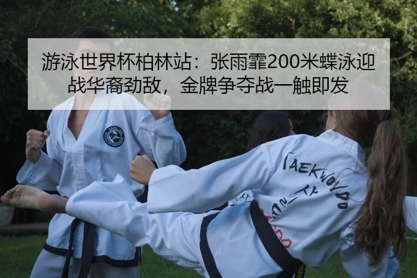 you-yong-shi-jie-bei-bo-lin-zhan-zhang-yu-fei-mi-die-yong-ying-zhan-hua-yi-jing-di-jin-pai-zheng-duo-zhan-yi-chu-ji-fa-2-209.jpg